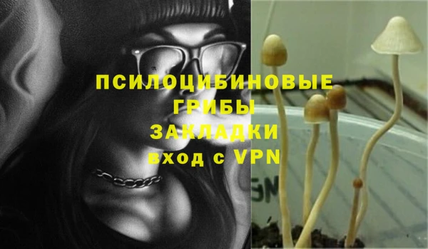 дурь Алексин