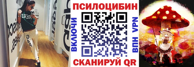 где купить   Алдан  Псилоцибиновые грибы MAGIC MUSHROOMS 